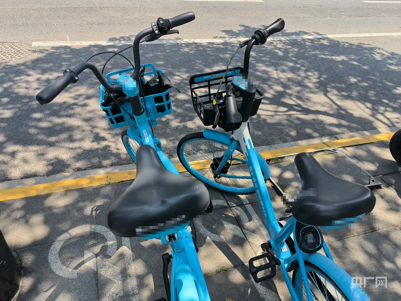 垫内有情趣用品律师称涉案人员或将面临行政拘留冰球突破豪华版手机版上海警方通报共享